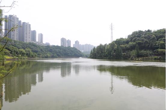 【共舞長江經(jīng)濟帶】一江碧水出巴渝——重慶修山護水構(gòu)筑長江上游生態(tài)屏障