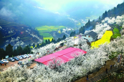 綠色是理念，更是行動