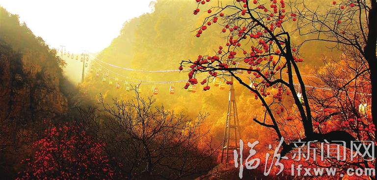 鄉(xiāng)寧云丘山:滿山綠色正漸紅