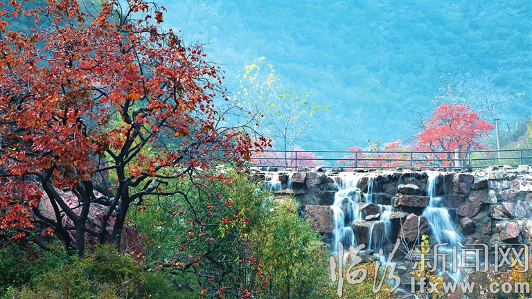 鄉(xiāng)寧云丘山:滿山綠色正漸紅