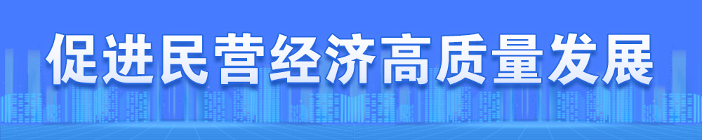 促進(jìn)民營(yíng)經(jīng)濟(jì)高質(zhì)量發(fā)展