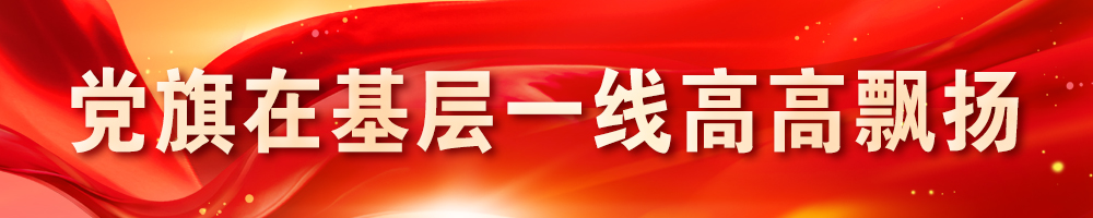 黨旗在基層一線高高飄揚(yáng)