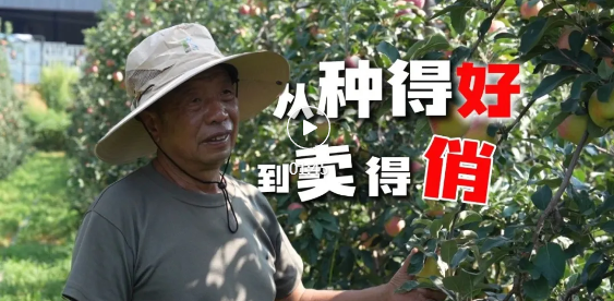 襄汾“魯麗”，一周后見！