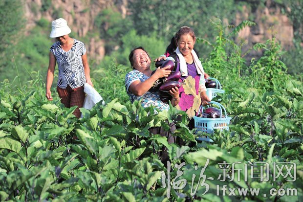 收入增加了，農(nóng)民臉上露出了笑容。 