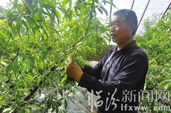 翼城縣農(nóng)民正忙時(shí)