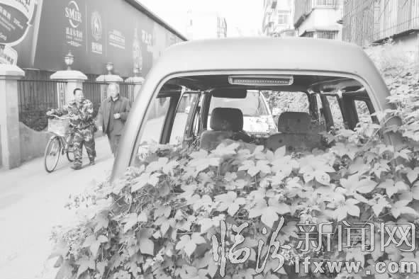 臨汾:雜草包圍面包車